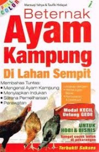Image of Beternak Ayam Kampung Dilahan Sempit